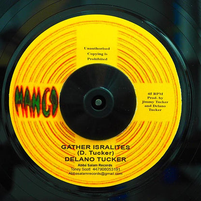 Delano Tucker - Gather Israelites  /  Gathering Dub (7")