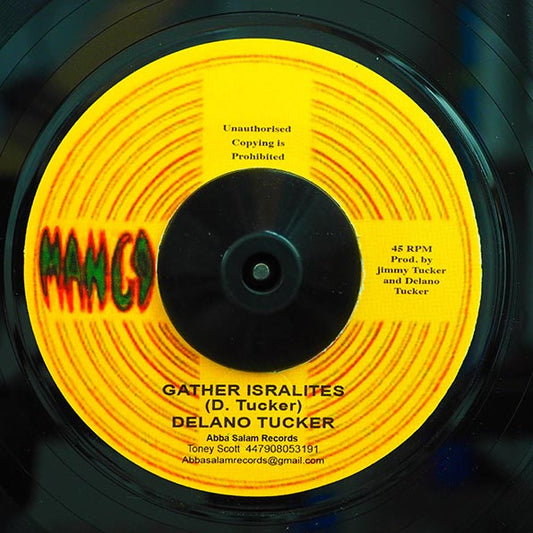 Delano Tucker - Gather Israelites  /  Gathering Dub (7")