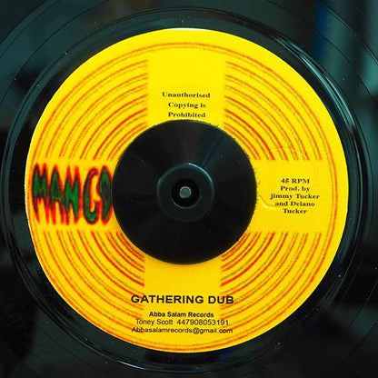 Delano Tucker - Gather Israelites  /  Gathering Dub (7")