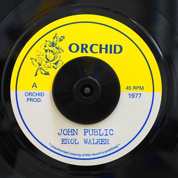 Errol Walker - John Public  /  The Upsetters - Version (7")