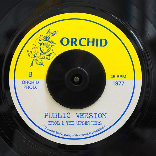 Errol Walker - John Public  /  The Upsetters - Version (7")