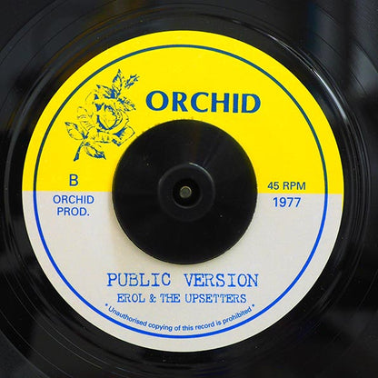 Errol Walker - John Public  /  The Upsetters - Version (7")