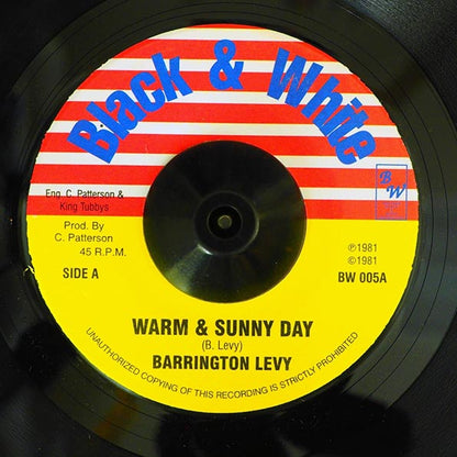 Barrington Levy - Warm & Sunny Day  /  Scientist & Tubbys - Sunny Style (7")