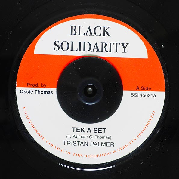 Triston Palmer - Tek A Set  /  Roots Radics - South Of The Border (7")