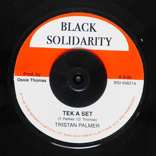 Triston Palmer - Tek A Set  /  Roots Radics - South Of The Border (7")