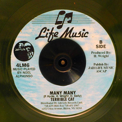 Bunny General - Girls Fi Settle Down  /  Terrible Cat - Many Many (7")
