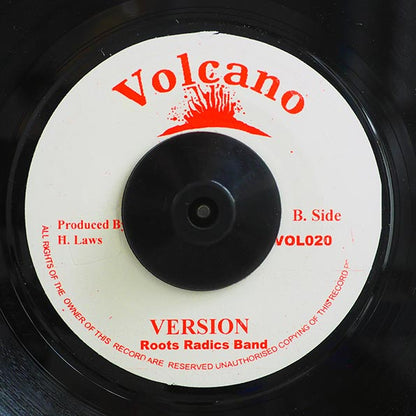 Rod Taylor - Them A Top Ranking  /  Roots Radics - Version (7")