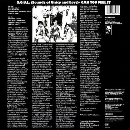 SOUL - Can You Feel It (LP)