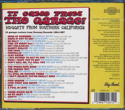 Various - It Came From The Garage: Nuggets From Southern California (CD)