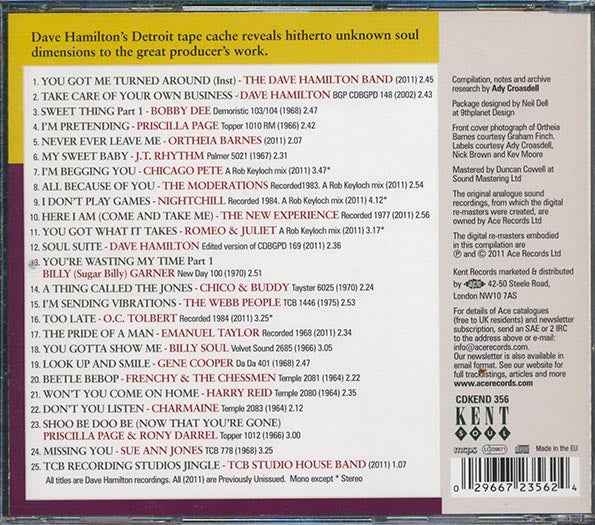 Various - Dave Hamilton's Detroit Soul: The Soul Providers (CD)