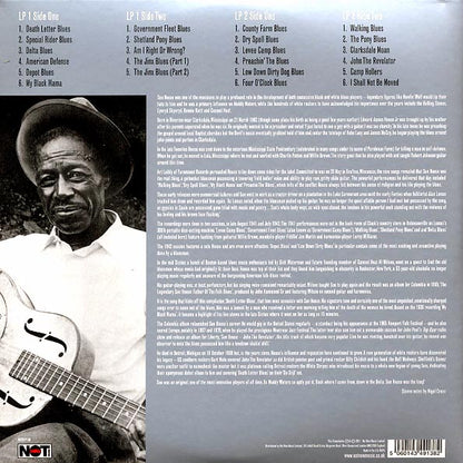 Son House - Raw Delta Blues (2xLP) (LP)