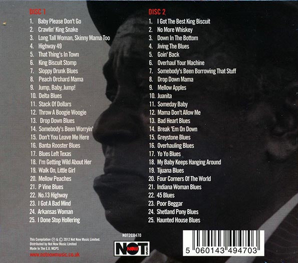 Big Joe Williams - The Essential Big Joe Williams (50 tracks) (CD)