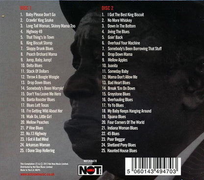 Big Joe Williams - The Essential Big Joe Williams (50 tracks) (CD)