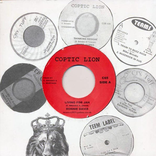 Ronnie Davis - Living For Jah  /  Version (7")