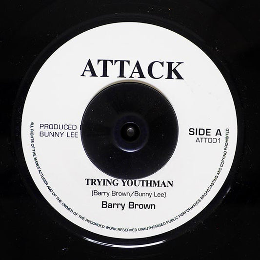 Barry Brown - Trying Youth Man  /  The Aggrovators - Version (7")