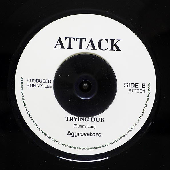 Barry Brown - Trying Youth Man  /  The Aggrovators - Version (7")