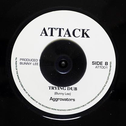 Barry Brown - Trying Youth Man  /  The Aggrovators - Version (7")