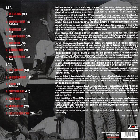 Son House - Raw Delta Blues: The Very Best Of The Delta Blues Master (LP)