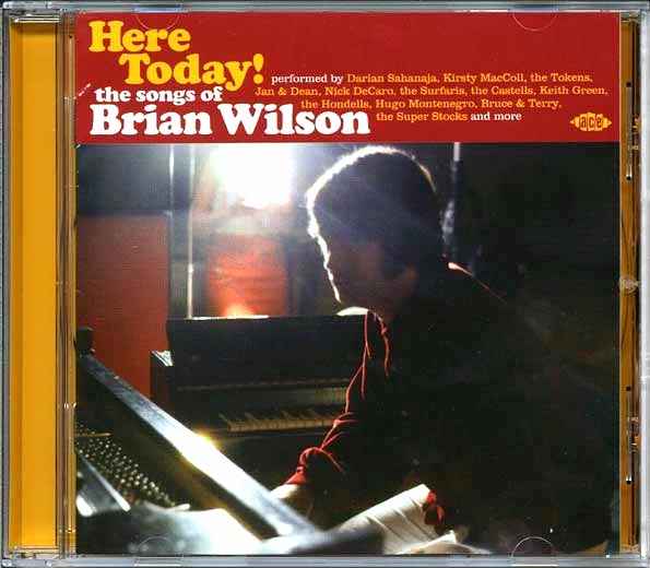 Various - Here Today! The Songs Of Brian Wilson (CD)