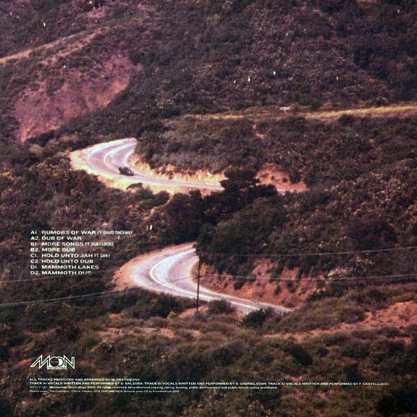 Violinbwoy - Mono County (LP)