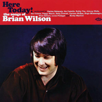 Bobby Vee, The Tokens, Hugo Montenegro, Etc. - Here Today! The Songs Of Brian Wilson (180g) (LP)