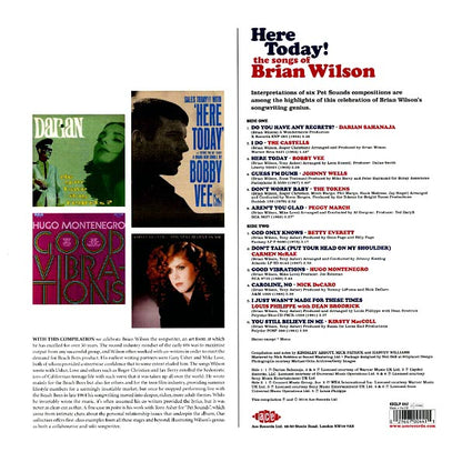 Bobby Vee, The Tokens, Hugo Montenegro, Etc. - Here Today! The Songs Of Brian Wilson (180g) (LP)