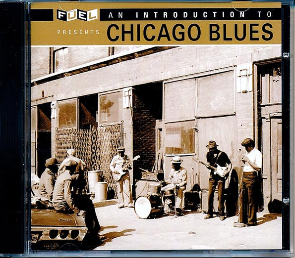 JB Lenoir, Elmore James, Muddy Waters, Big Joe Williams, Etc. - An Introduction To Chicago Blues (24-bit mastering) (CD)