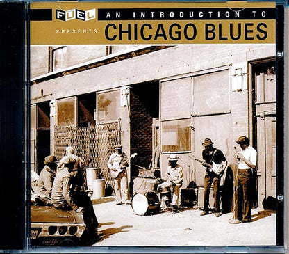 JB Lenoir, Elmore James, Muddy Waters, Big Joe Williams, Etc. - An Introduction To Chicago Blues (24-bit mastering) (CD)