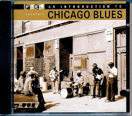 JB Lenoir, Elmore James, Muddy Waters, Big Joe Williams, Etc. - An Introduction To Chicago Blues (24-bit mastering) (CD)