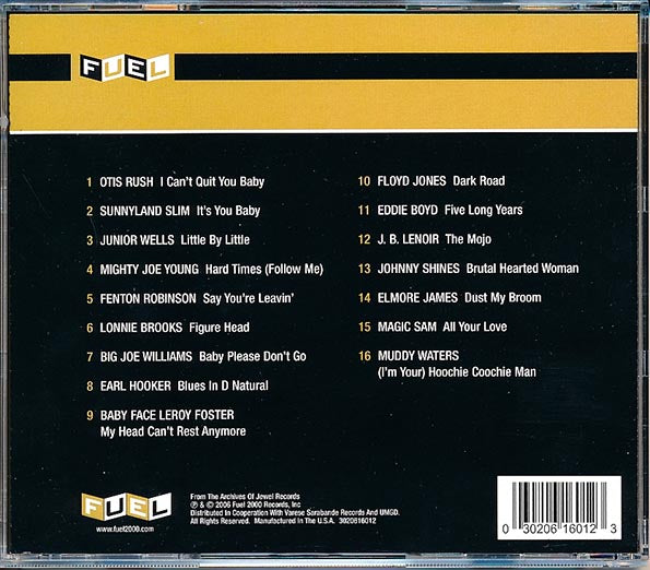 JB Lenoir, Elmore James, Muddy Waters, Big Joe Williams, Etc. - An Introduction To Chicago Blues (24-bit mastering) (CD)