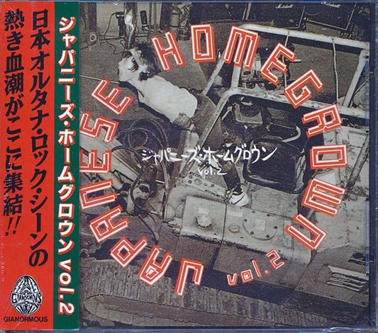 Nunchaku, Noiseramones, Pugs, Jasons, Super Junky Monkey, Etc. - Japanese Homegrown Volume 2 (CD)