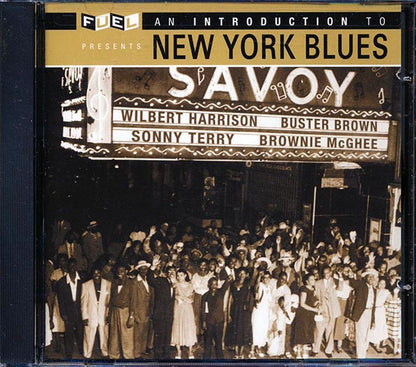 Buster Brown, Billy Lewis, Titus Tee Turner, Etc. - An Introduction To New York Blues (CD)