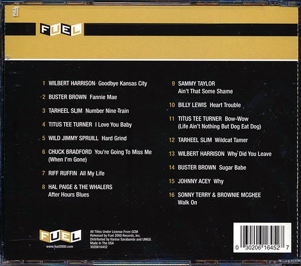 Buster Brown, Billy Lewis, Titus Tee Turner, Etc. - An Introduction To New York Blues (CD)