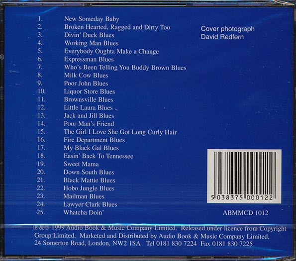 Sleepy John Estes - Working Man Blues (CD)
