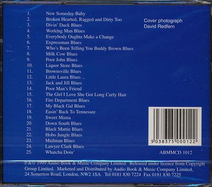 Sleepy John Estes - Working Man Blues (CD)