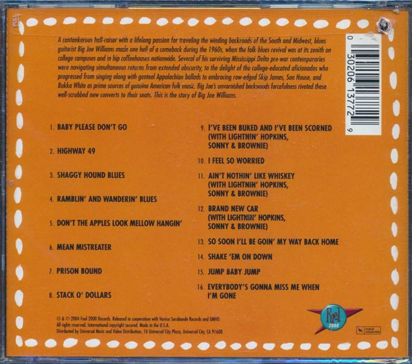 Big Joe Williams - Revisited (CD)
