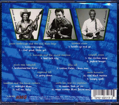 Raymond Hill, Lillie Hill, Uncle Ben & His Nephews, Junior Kimbrough & The Soul Blues Boys, Etc. - Deep South Blues (CD)