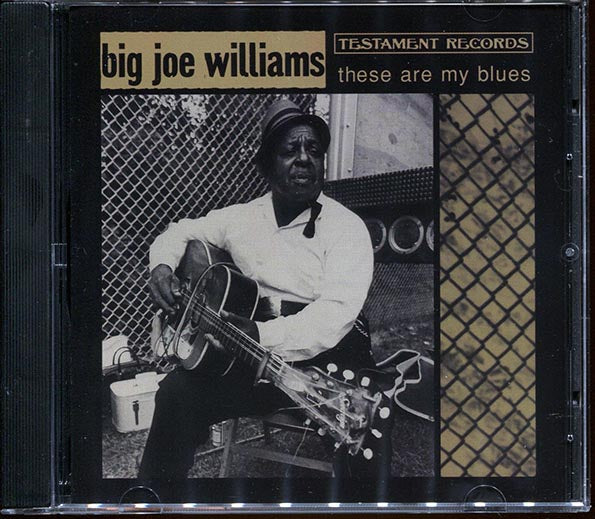 Big Joe Williams - These Are My Blues (CD)
