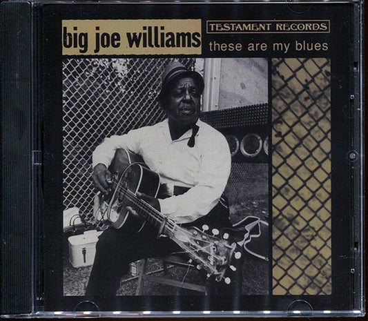 Big Joe Williams - These Are My Blues (CD)