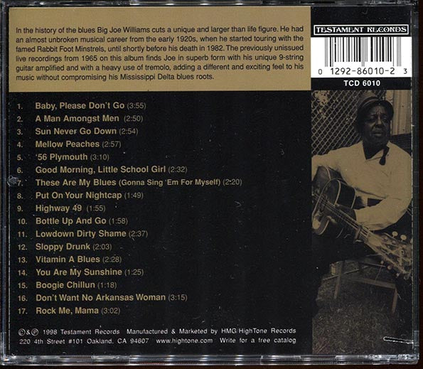 Big Joe Williams - These Are My Blues (CD)