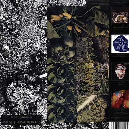 The Camberwell Now - Meridian/ Greenfingers: The EP Collection (ltd. ed.) (LP)