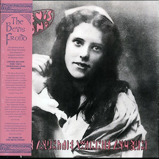 The Bevis Frond - The Auntie Winnie Album (RSD 2017) (2xLP) (LP)