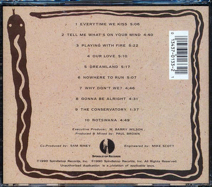 Sam Riney - Playing With Fire (CD)