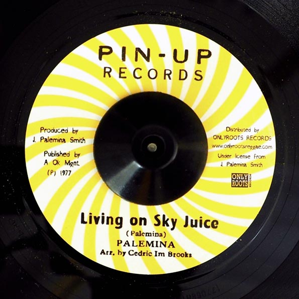 Palemina - Living On Sky Juice  /  Blood Relatives & Friends - Version (7")
