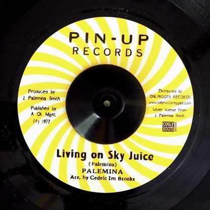 Palemina - Living On Sky Juice  /  Blood Relatives & Friends - Version (7")
