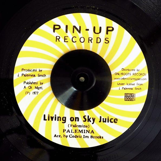 Palemina - Living On Sky Juice  /  Blood Relatives & Friends - Version (7")