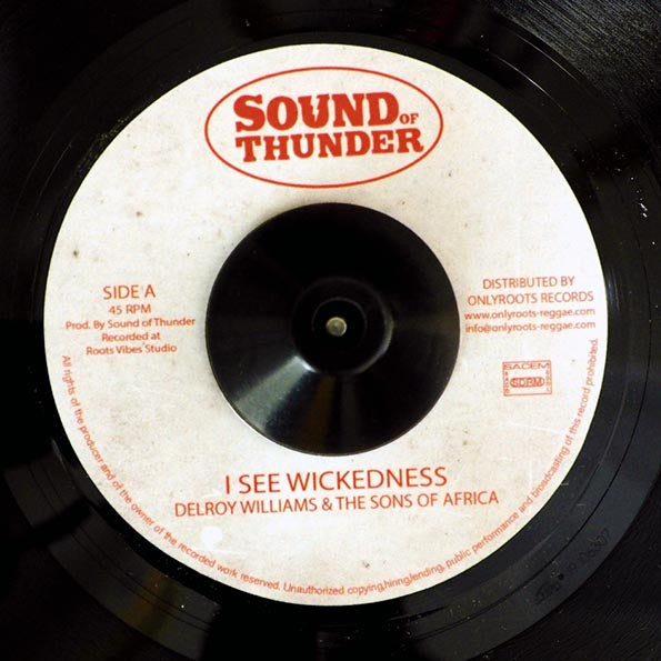 Delroy Williams & The Sons Of Africa - I See Wickedness  /  Mr. Haze & The Sons Of Africa - Wisest Dub (7")