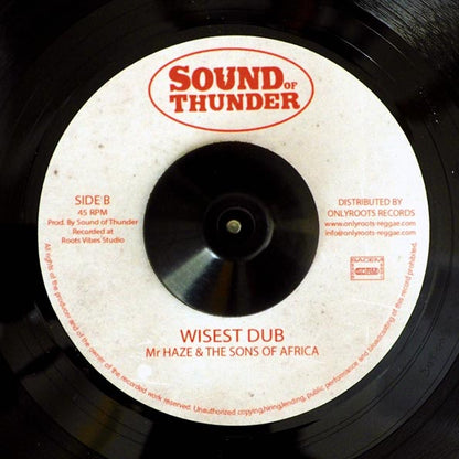 Delroy Williams & The Sons Of Africa - I See Wickedness  /  Mr. Haze & The Sons Of Africa - Wisest Dub (7")