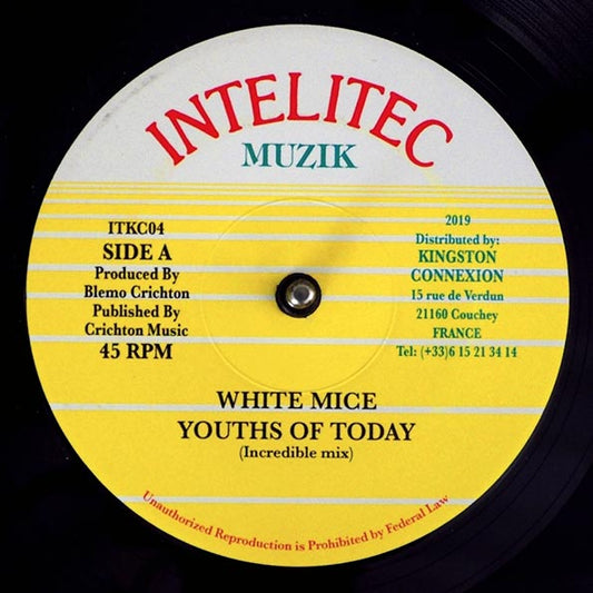 White Mice - Youths Of Today  /  Version (7")