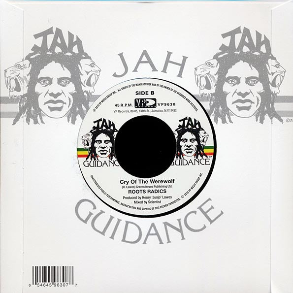 Michael Prophet - Hold On To What You Got  /  Roots Radics - Cry Of The Warewolf (7")